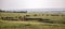 Herd of American bison, Kansas