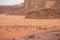 A herd of animals, sheep grazing in a sandy valley. Shot in Jordan