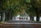 Herd of arabian horses on the autumn village road