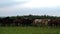 Herd of beautiful thoroughbred horses runs in the summer on a green meadow