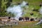 A herd of bison moving along the Yellowstone National Park, Wyoming, USA