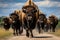 A Herd Of Bison Walking Down A Dirt Road Herd Of Bison, Dirt Road, Habitats, Migration Routes, Conse