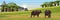 A herd of black African buffalo. African savannah, baobab thickets and high mountain ranges. Realistic vector landscape