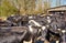 Herd of black and white cows stands in front of a milking facility on a farm