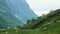 Herd of brown, white and black goats free grazing on the green grass of a mountainside near a highway with traffic.