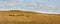 Herd Of Buffalo Grazing In The Kansas Tallgrass Pr