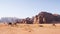 herd of camels grazes in the sands of the Wadi Rum desert