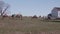 Herd of Camels Grazing on an Amish Farm in Pennsylvania with a Miniature Pony