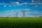 Herd of cattle graze under a row of steel lattice transmission pylons