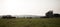 A herd of cattle graze in a wide shot in the morning haze