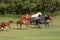 Herd of colorful horses galloping on the meadow