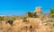 Herd of Cows at Adbhutanatha Temple at Chittorgarh Fort. Rajastan, India