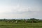 Herd of cows behind electric fence in pasture during sunny afternoon