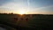 Herd of cows and bulls at sunset, drone footage from the air