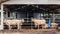 Herd of cows close-up on American Thai Brahman cows in cowshed on dairy farm. Agriculture Industry.