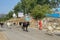 Herd of cows with colored horns on the streets of Rajasthan