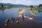 Herd of cows crossing the shallow river