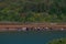 A herd of cows drinking by a lake under a mountain in a sunny day. Concept: Calmness and nature