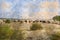 Herd of cows grazing in pasture. Wild field with dry grass and green bushes. Hot summer day.