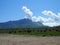 Herd of cows herding on a green meadow in ecological nature area in the mountains. mountain range against clear blue sky