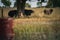 Herd of cows peacefully grazing in a dry grass pasture