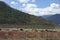 Herd of Cows and sheep in the colorful landscape of Shangri-La, Yunnan, China.