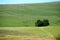 herd of cows on the slopes of the mountain