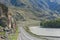 Herd of cows standing in and blocking a road in Altai, Russia