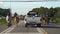 A herd of cows walks on the road in the Thai countryside and blocks road traffic