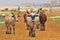 Herd of cows in west Africa