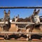 Herd of cute donkeys