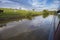 Herd of domestic cattle livestock next to canal in rural setting