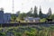 A herd of domestic woolen and dairy goats grazes near the railway in the village on a bright summer sunny day against the backdrop