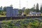 A herd of domestic woolen and dairy goats grazes near the railway in the village on a bright summer sunny day against the backdrop