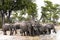 Herd of drinking elephants, Botswana, Africa. Group of elephants with baby on waterhole in bush.