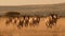 A herd of eland running across the savannah created with Generative AI