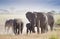 Herd of elephants in Amboseli National Park