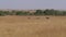 A Herd Elephants With Baby Moving Across Field Of The African Savannah 4K