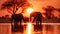 Herd of Elephants Crossing River at Sunset, The silhouette of elephants at sunset in Chobe National Park, Botswana, Africa,