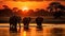 Herd of Elephants Crossing River at Sunset, The silhouette of elephants at sunset in Chobe National Park, Botswana, Africa,