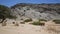 Herd of elephants at Hoanib riverbed