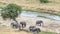 Herd of Elephants, Tarangire National Park, Manyara, Tanzania, A