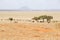 Herd of elephants, Tarangire National Park, Tanzania