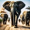 herd of elephants walking down dusty road in the dark with dust coming from