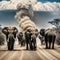 herd of elephants walking down dusty road in the dark with dust coming from