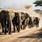 herd of elephants walking down dusty road in the dark with dust coming from