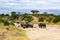 Herd of elephants walking and trying to drink underground water of a dry river in the savanna of Tarangire National Park, Tanzania
