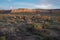 Herd of Elk, Chaco Canyon National Park