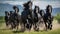 Herd of Friesian black horses galloping in the grass