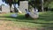 Herd Funny ducks of different colors grazing on green grass in the summer park